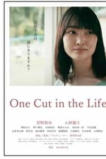 One Cut in the Life