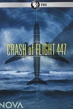 Crash of Flight 447