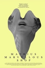 Mathius Marvellous Shop