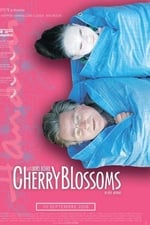 Cherry Blossoms - Un rêve japonais