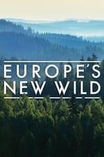 Europa Die Wildnis kehrt zurück