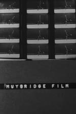 Muybridge Film