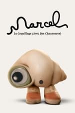 Marcel, le Coquillage (avec ses chaussures)