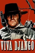 Viva! Django