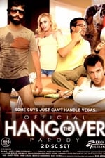 The Official Hangover Parody