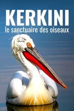Kerkini: The Bird Sanctuary