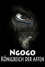 NGOGO - Königreich der Affen