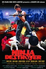 Ninja Destroyer