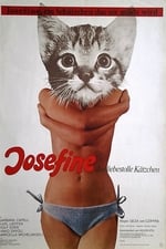 Josefine - das liebestolle Kätzchen