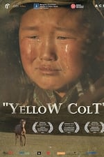 Yellow Colt