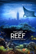 最后的珊瑚礁：海底世界
