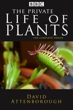 La Vie Privée des Plantes
