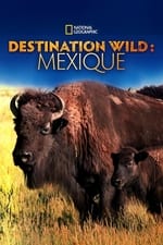 Destination Wild : Mexique