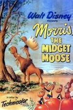 Morris, der Mini-Elch