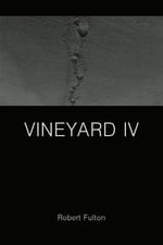 Vineyard IV