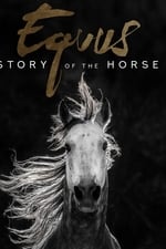 Die Geschichte von Pferd und Mensch - Equus