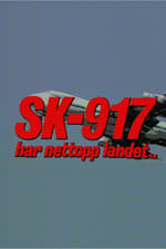 SK 917 har nettopp landet