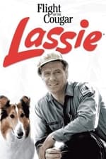 Lassie geht eigene Wege