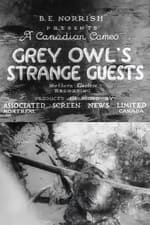 Grey Owl's Strange Guests