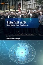 Störfall AfD – Das Netz der Rechten