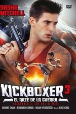 Kickboxer 3
