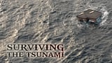 Surviving the Tsunami