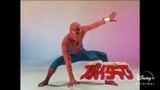 The Japanese Spider-Man