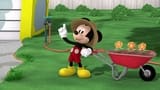 Mickey's Water Hose Woes!
