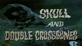 Skull and Double Crossbones