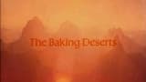 Baking Deserts