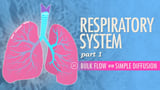 Respiratory System, Part 1