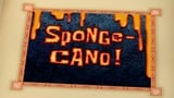 Sponge-Cano!