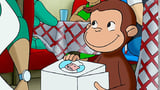 Special Delivery Monkey