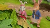 The Tale of the Peekaboo Rabbits