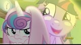 A Flurry of Emotions