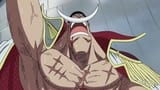 Moving into the Final Phase! Whitebeard's Trump Card for Recovery!