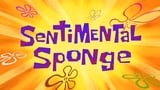 Sentimental Sponge