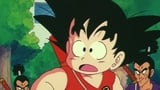 Cinco Murasakis contra Goku