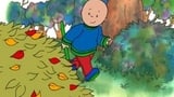 Caillou Rakes the Leaves