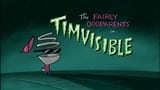 Timvisible