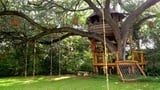 Treehouse Masters International: Brazil