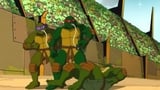 Turtles in Space (4): The Arena