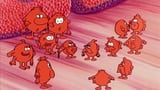 The Tiny Platelets