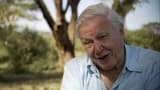 Interview with Sir David Attenborough