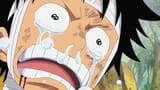 I Want to See Them! Luffy's Mournful Cry!