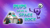 Pups Save a Space Rock