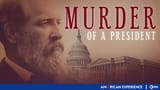 Murder of a President