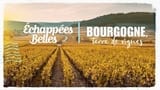 Bourgogne, terre de vignes