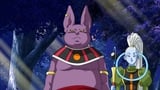 The 6th Universe's Destroyer! His Name is Champa!