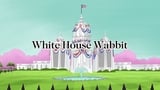 White House Wabbit